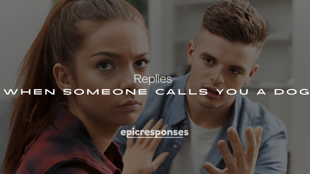 250+ Replies When Someone Calls You a Dog